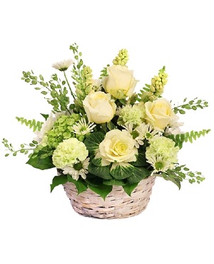 A sympathy arrangement of white flowers